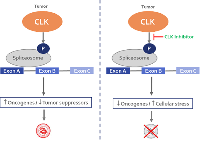 CLK graphic